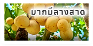 องค์การบริหารส่วนตำบลแม่พูล  (อบต.แม่พูล) 